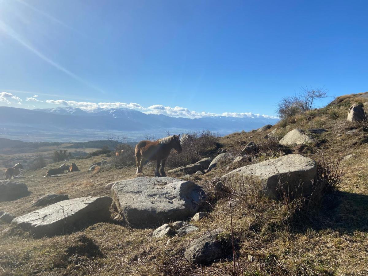 Gite Des Ours Osséja Exteriör bild